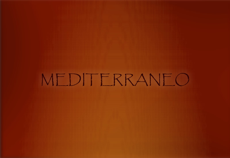 Meditteraneo Logo