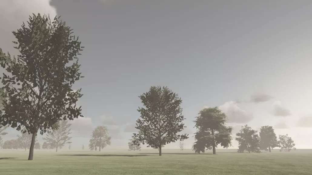 OWA Trees 01